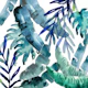 Tropical Mix