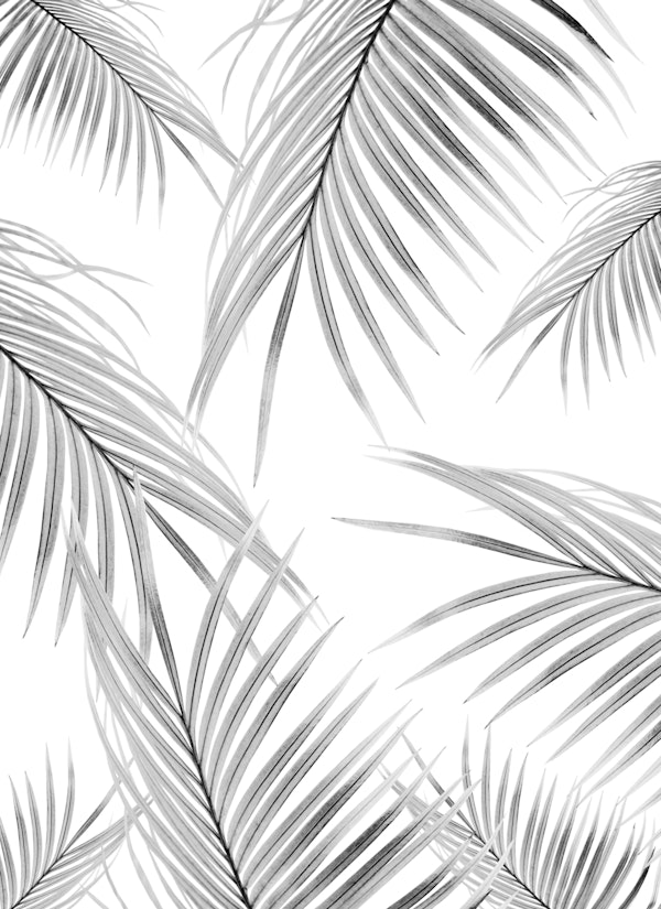 Palm Leaves Dream Soft Gray 1