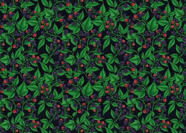 Blackberries on dark gray