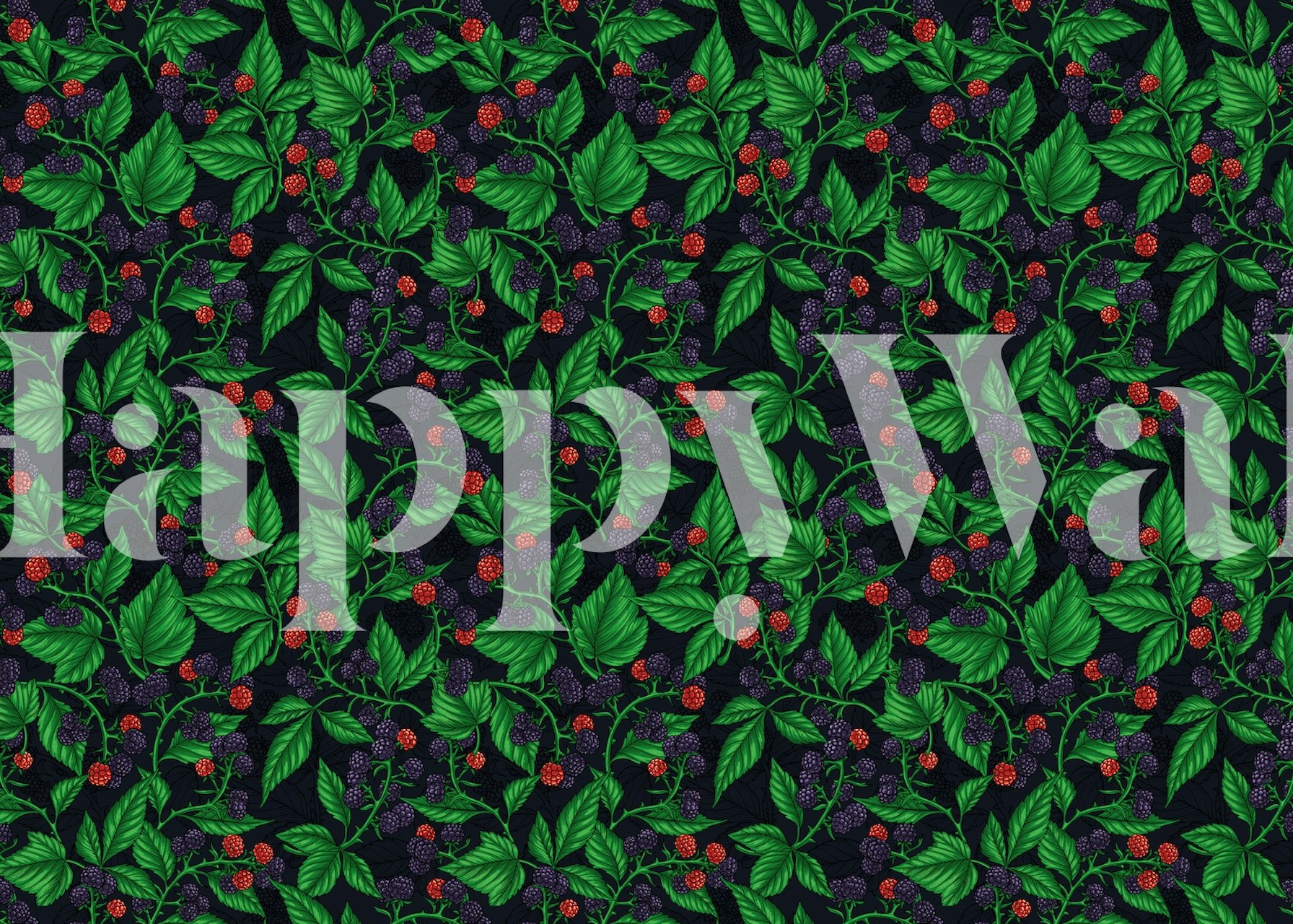 Blackberries and green leaves on dark gray wallpaper