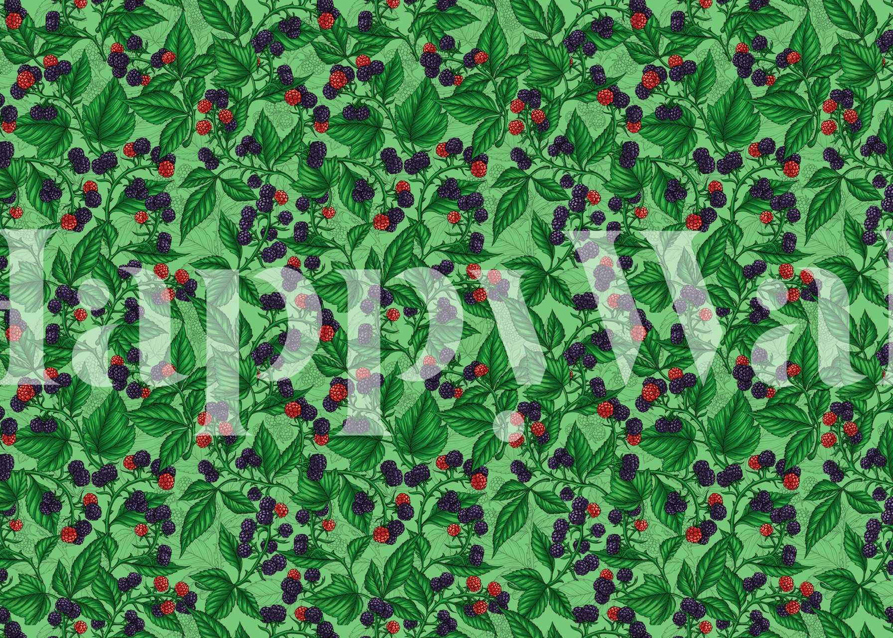 Zeleno lišće sa zrelim kupinama zidna slika