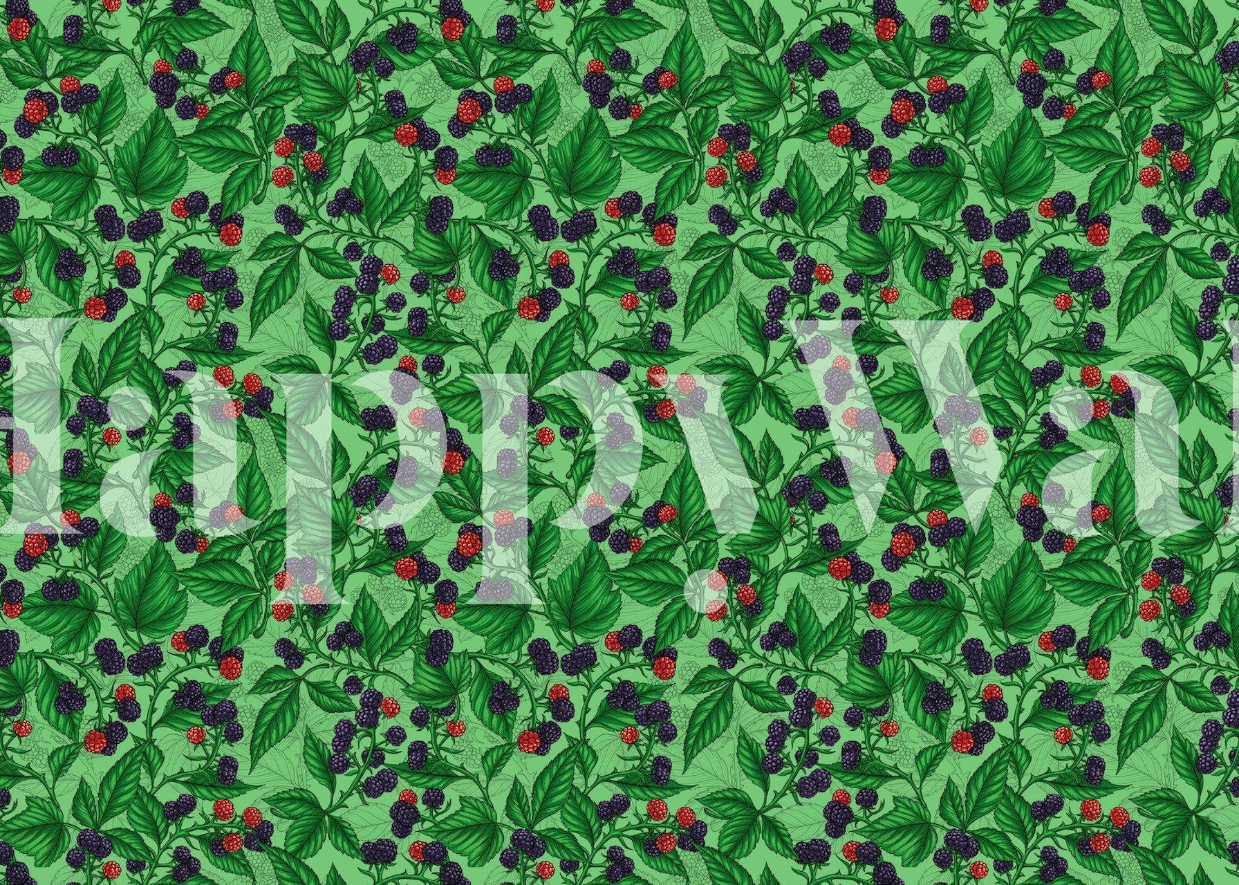 Πράσινα φύλλα με Blackberries on green τοιχογραφία