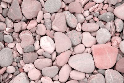 Τοιχογραφία