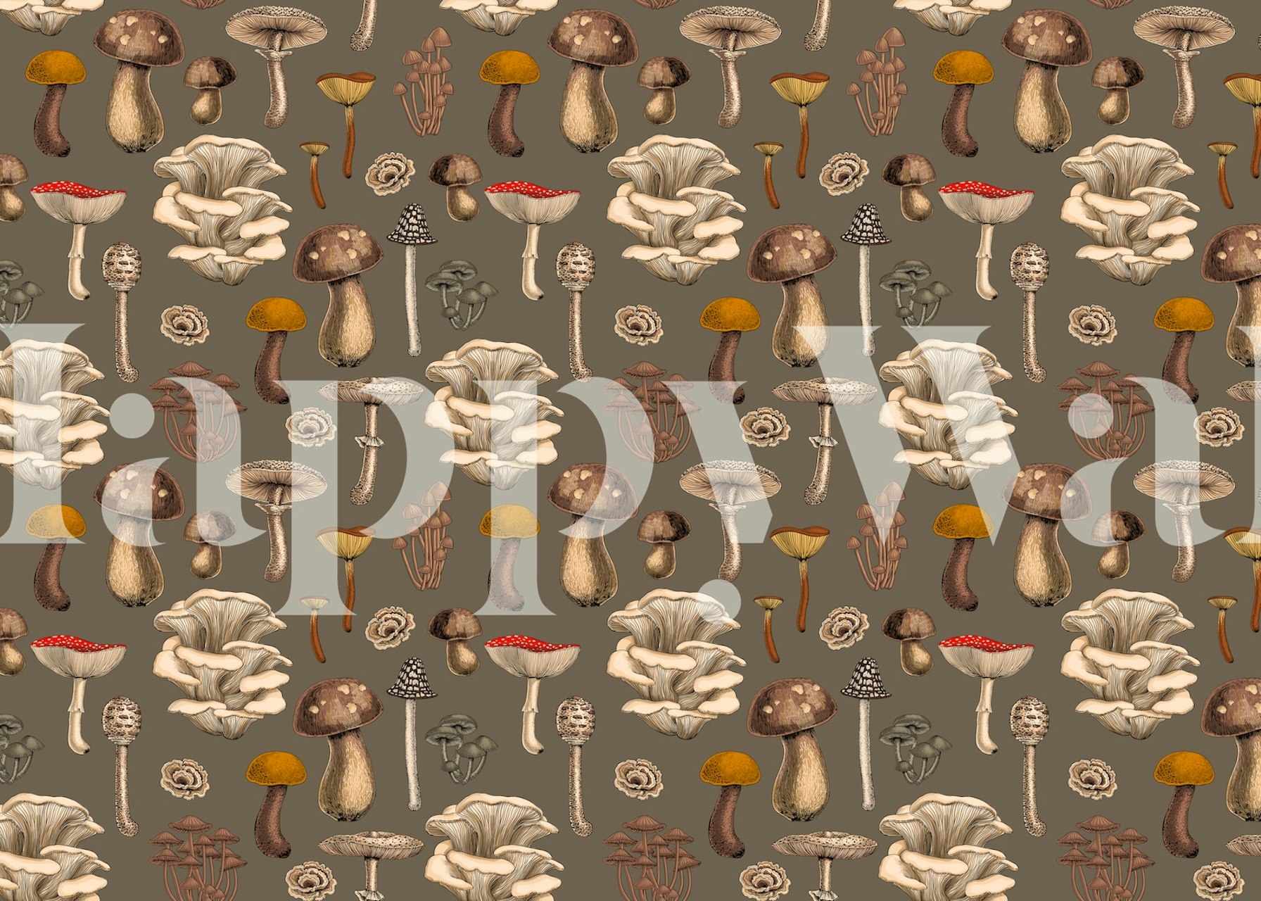 Various mushrooms on a muted brown background wallpaper
