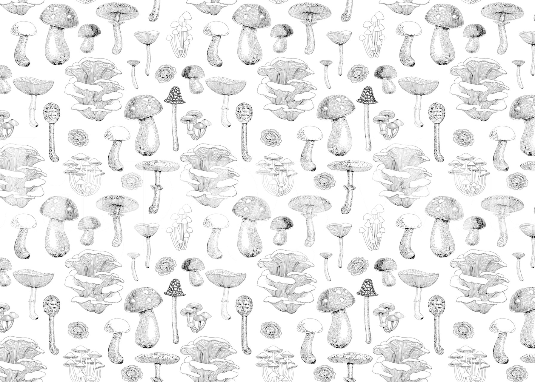 Wild Mushrooms 4 wallpaper design in a room