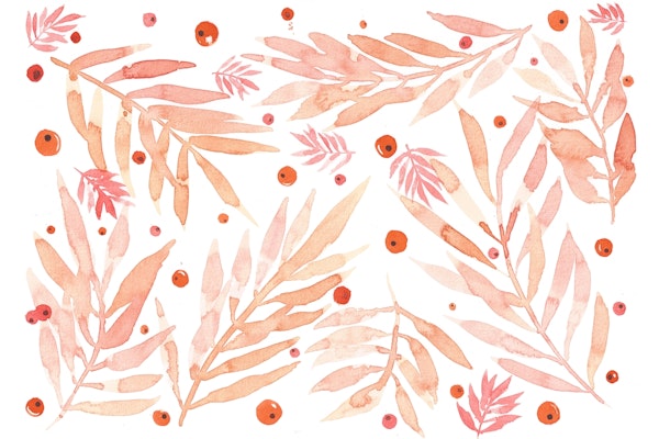 Peach branches and berries