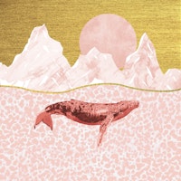 The whale ocean tapeta