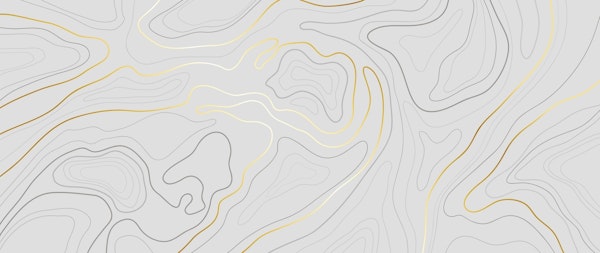 Topographic map gold