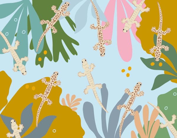 Geckos in the Jungle 1