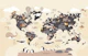 Playroom World Map