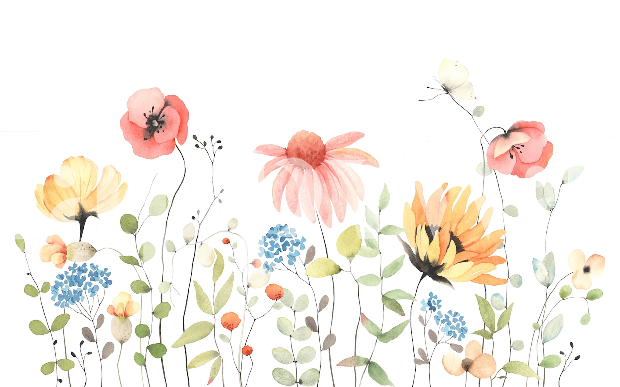 Summer wildflowers wallpaper in a room
