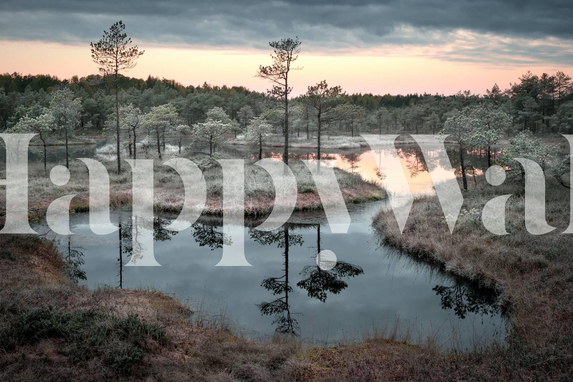 Spilled paint wallpaper in a room