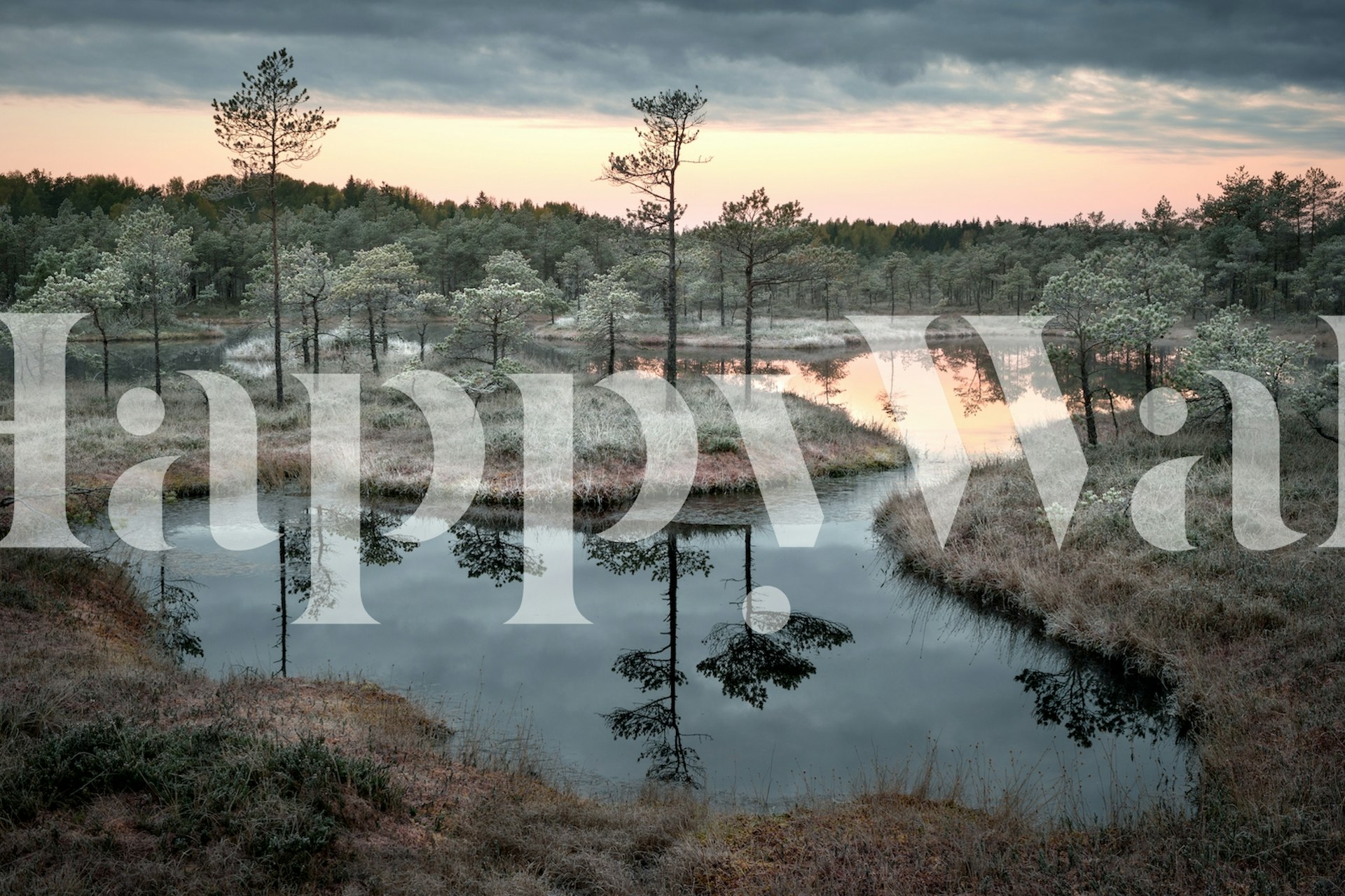 Spilled paint tapet i et rom