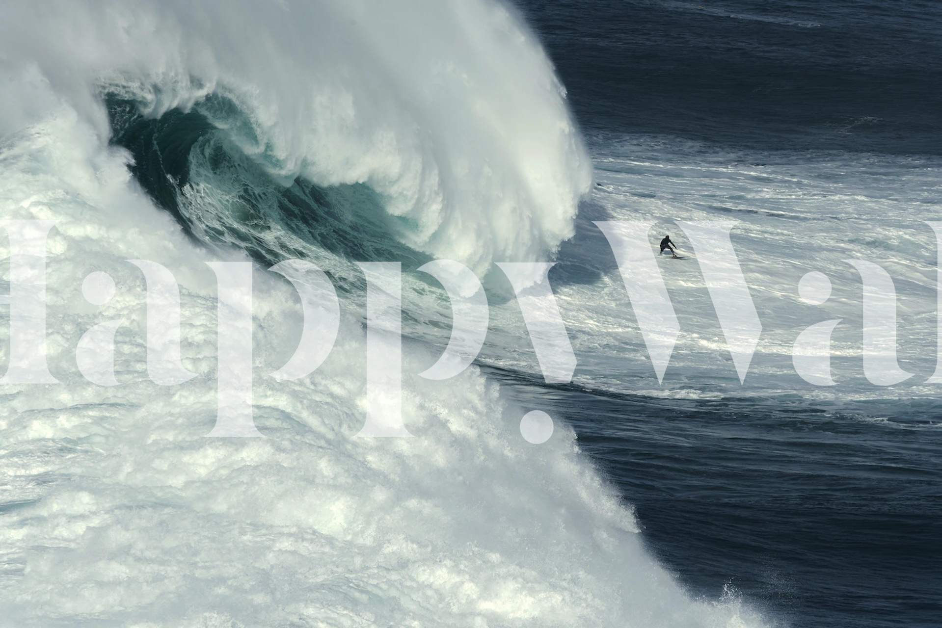 Nazaré North Canyon Tapete in einem Raum