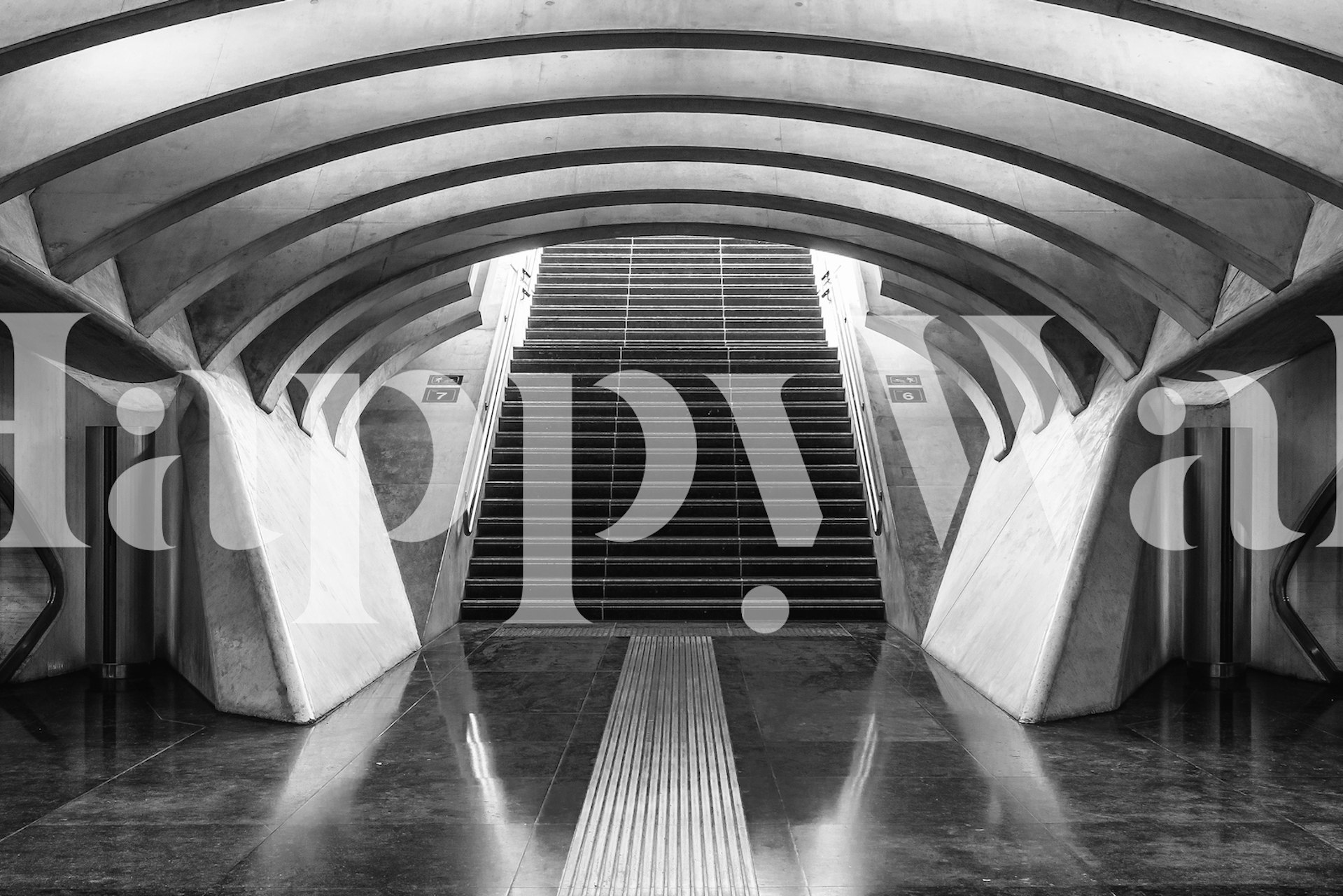 Carta da parati in bianco e nero di una scala architettonica moderna con elegante simmetria