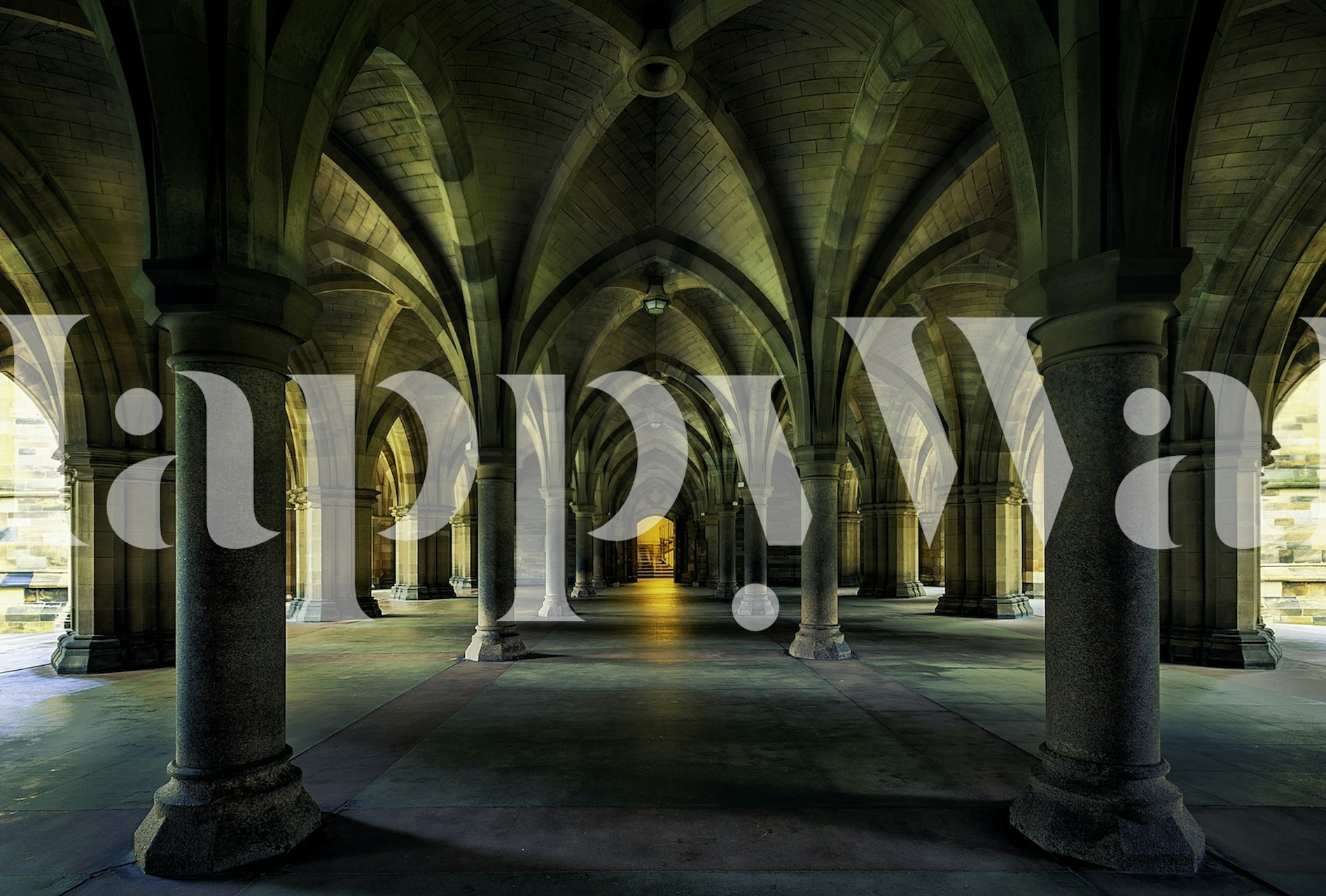 Dizajn tapeta u elegantnom hodniku