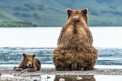 Τοιχογραφία
