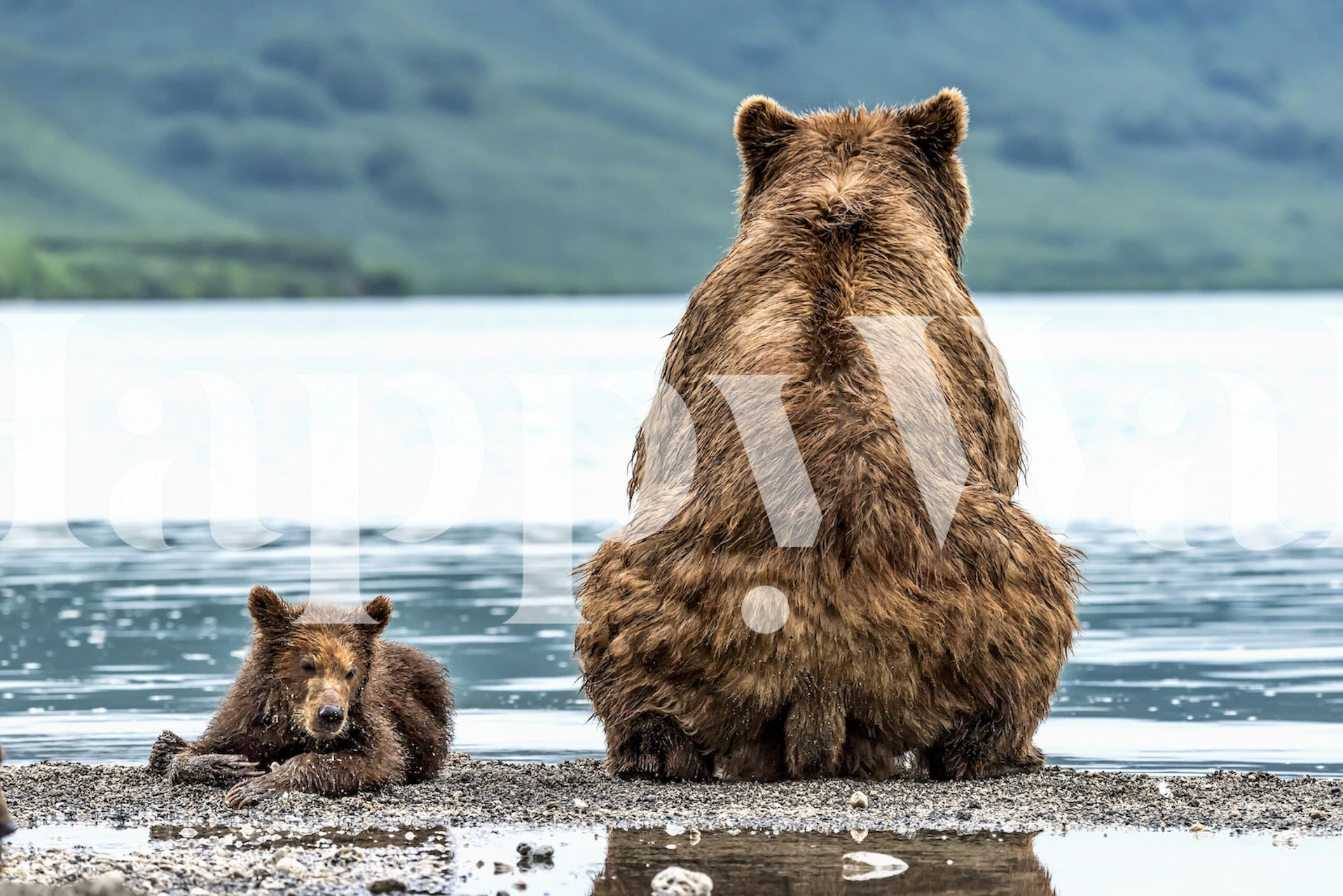 Opposites pozadina u modernoj sobi