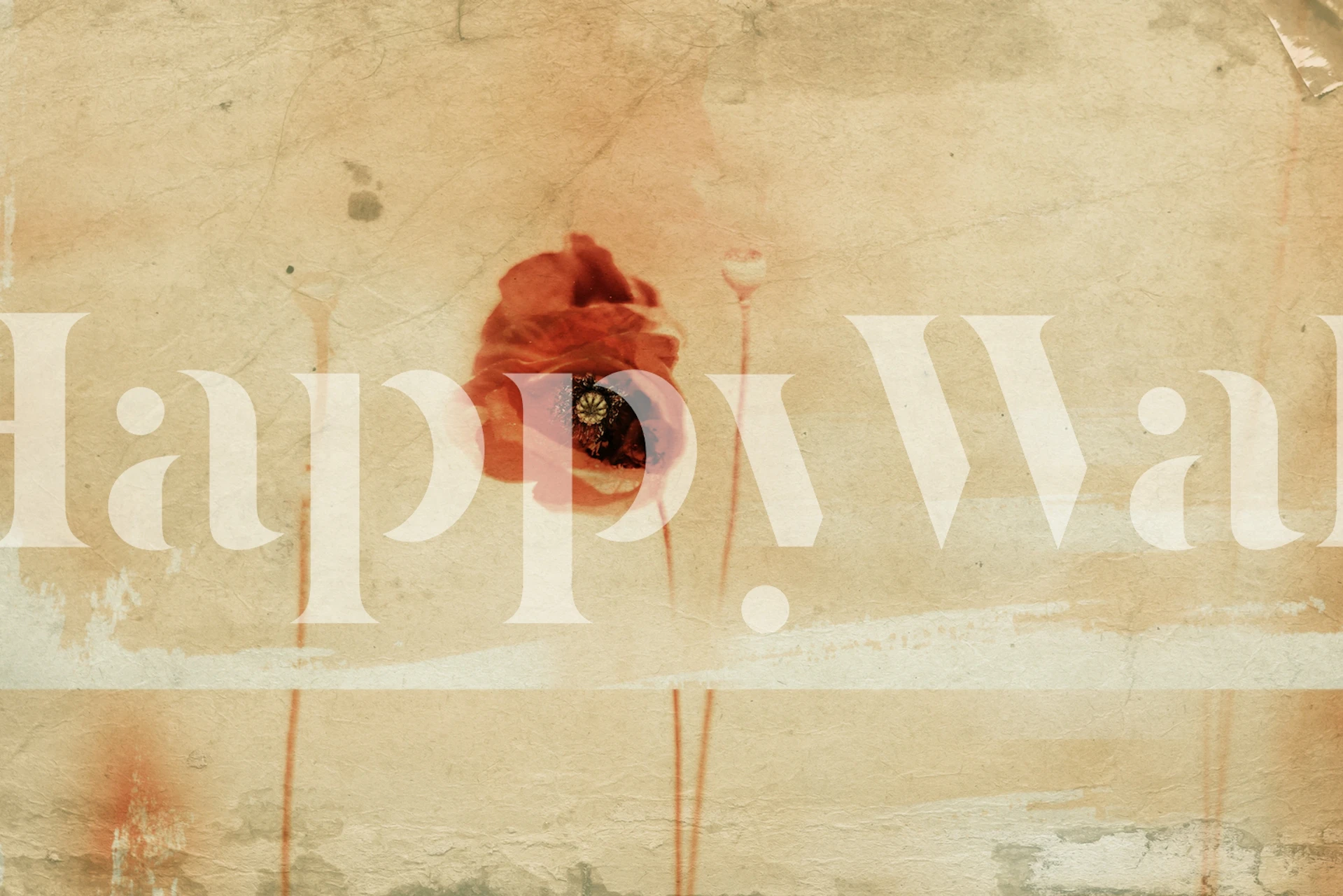 Rustic wall mural showing a weathered texture with a single, vibrant red flower depicted on it