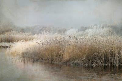 Τοιχογραφία