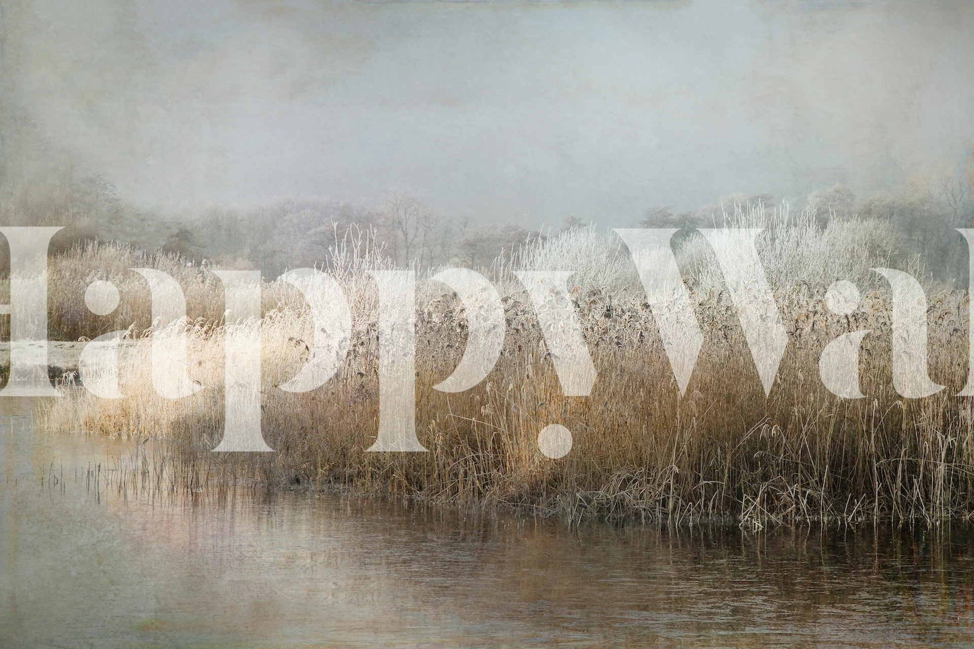 Wintermorning wall mural with frost-kissed reeds and a tranquil lake