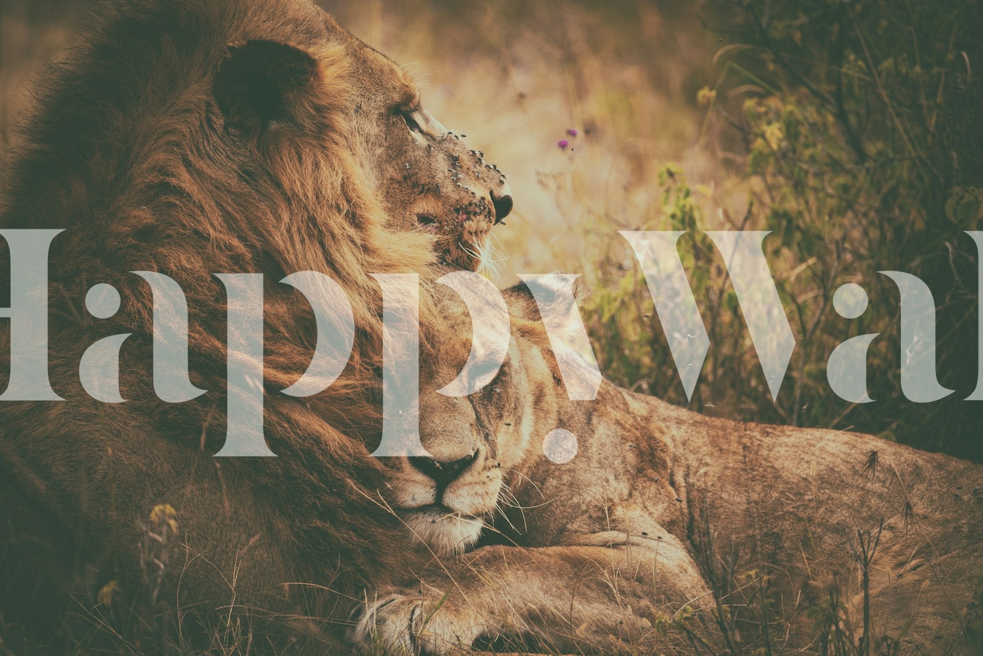 We fly together tapeta v útulné místnosti