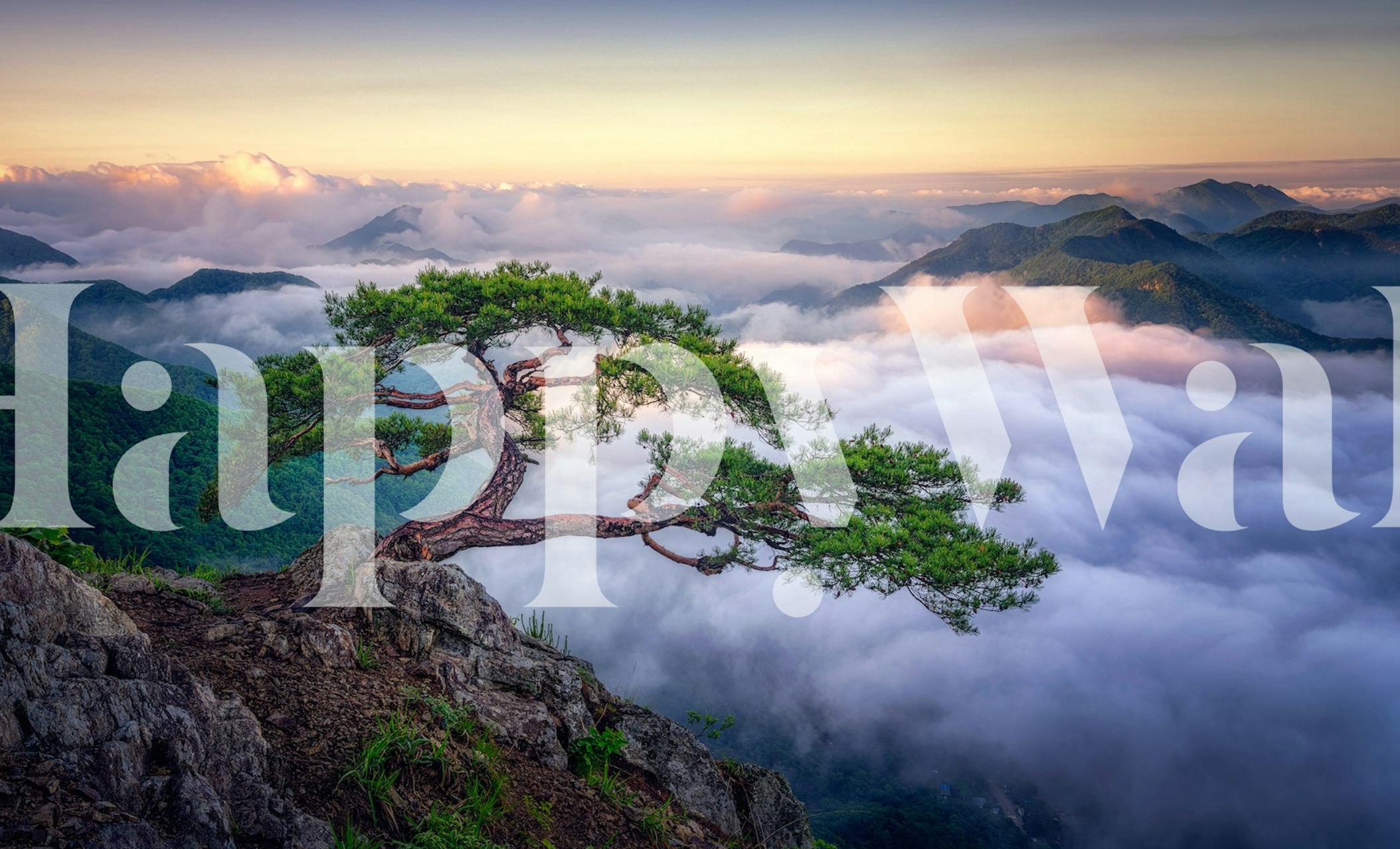 Wallpaper depicting a tree on rocky mountain peak
