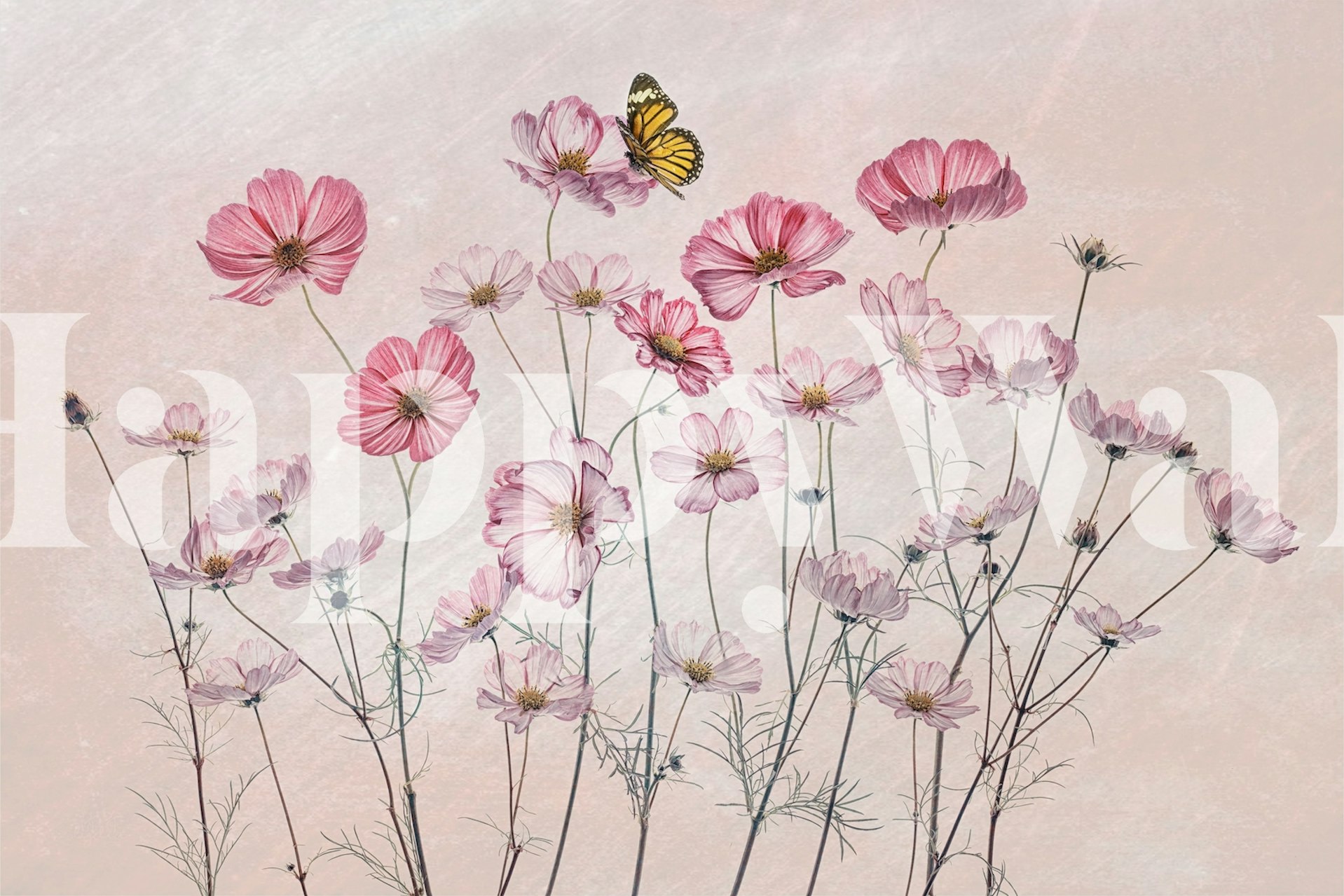 Cosmos and Butterfly Wallpaper - Buy Online | Happywall