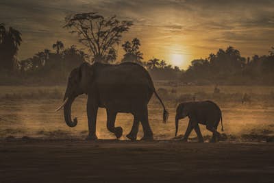 Τοιχογραφία