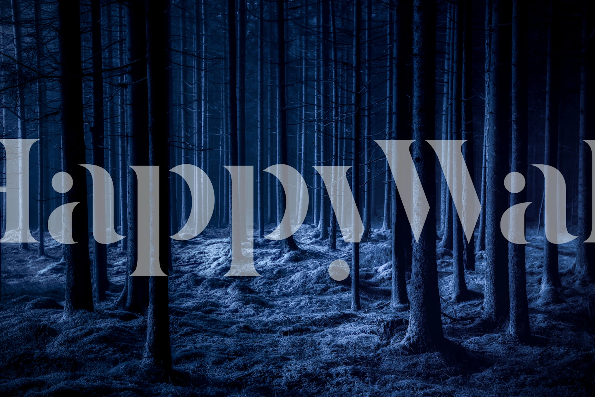 Eerie dark forest with tall trees and blue tones wallpaper