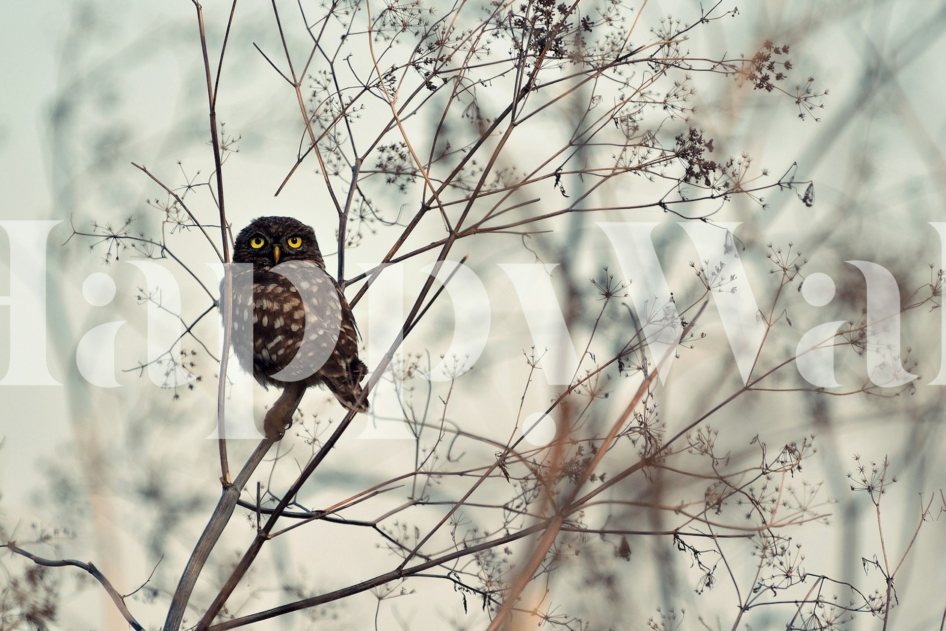 Ugle sittende på grener tapetdesign