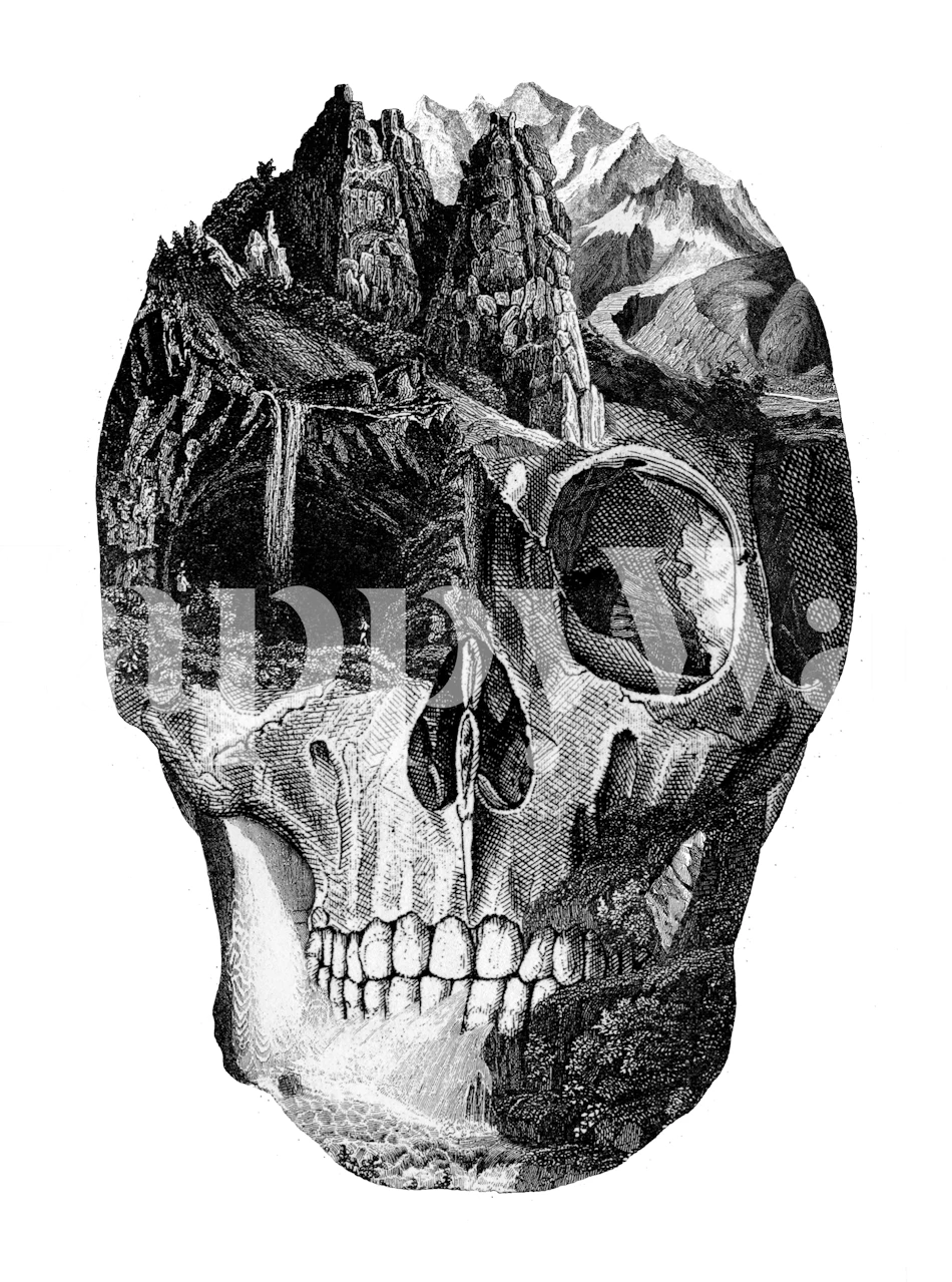 Skull design with intricate landscape inside, black and white wallpaper