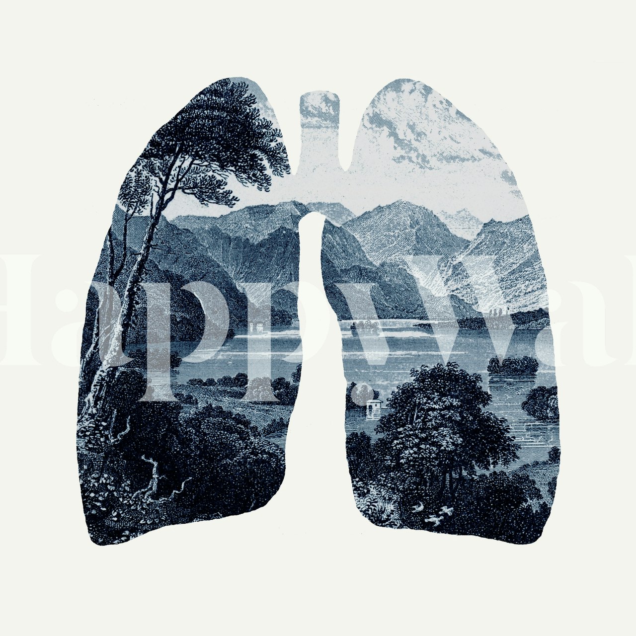 Fresh projekt tapety w ustawieniu pokoju