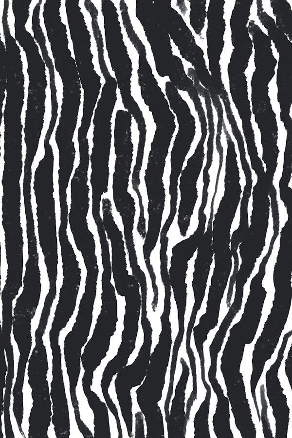 Zebra Pattern