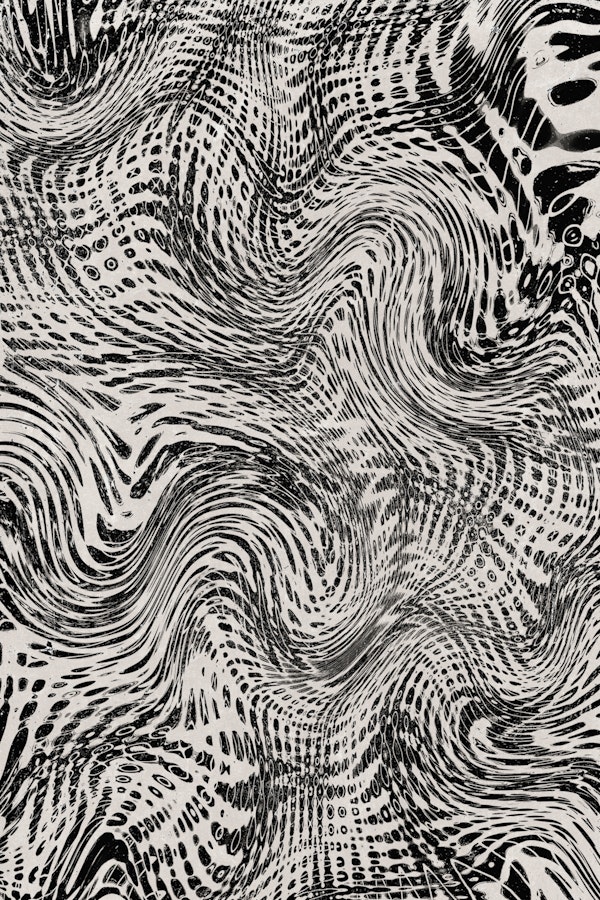 Black And White Net Pattern