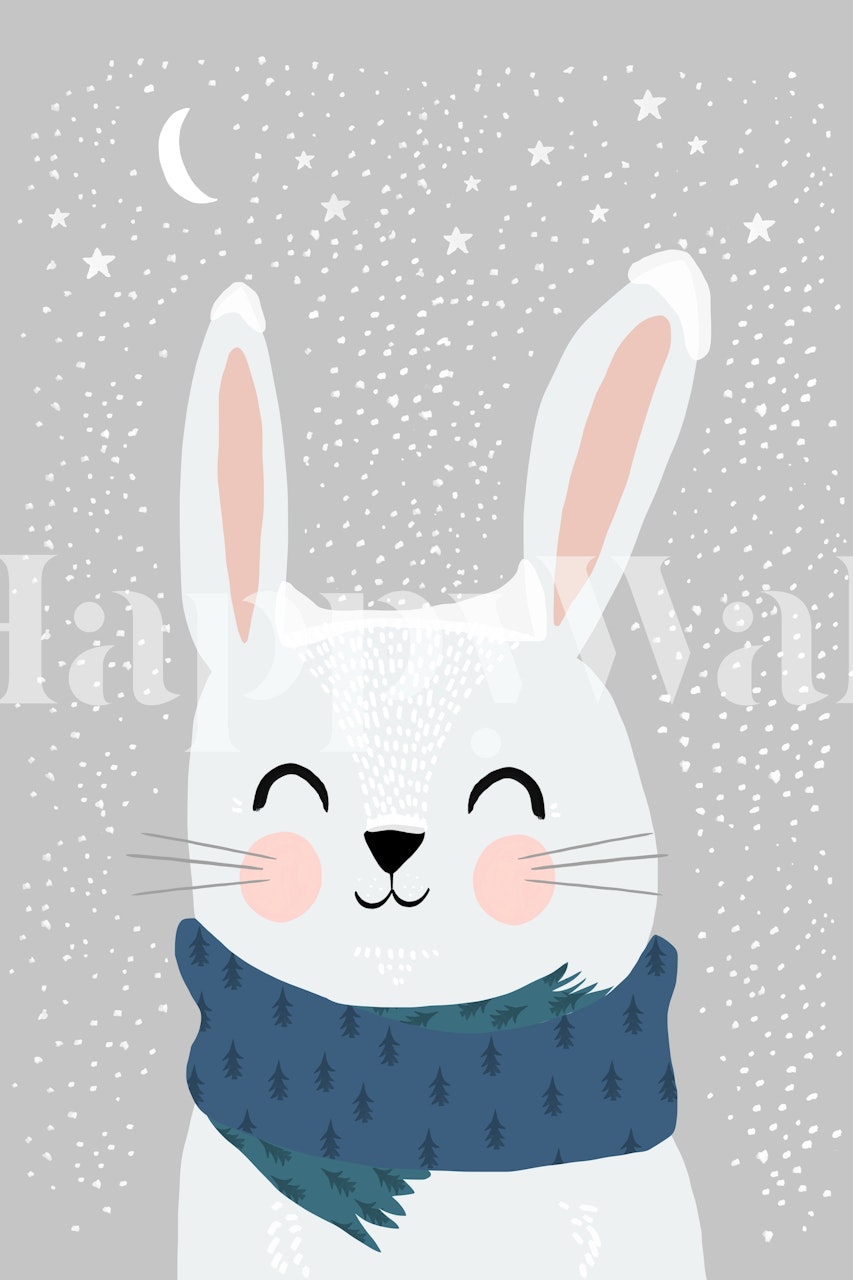 Snow bunny with rosy cheeks, blue scarf, and starry night background wallpaper