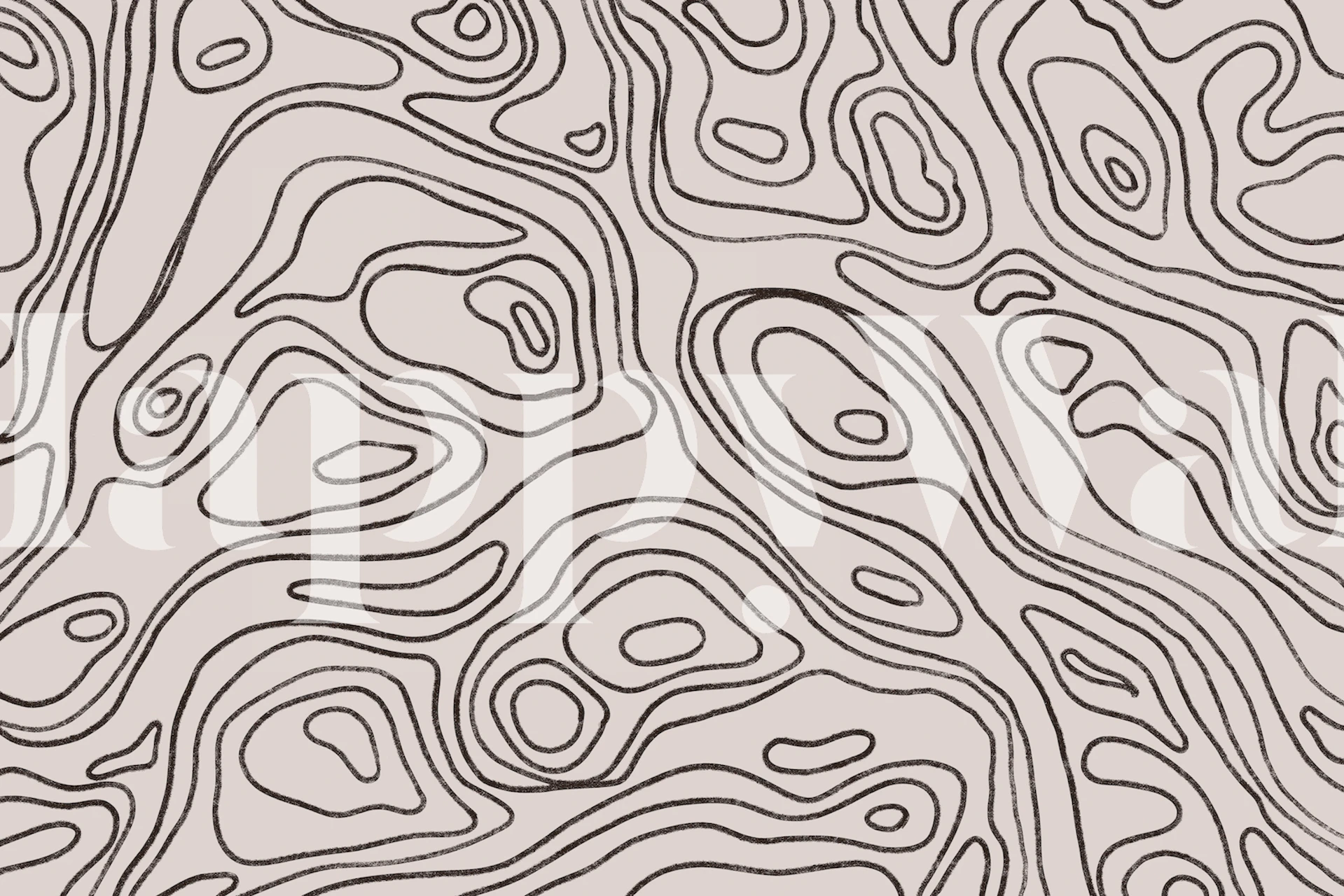 Abstract iso lines square pattern wall mural in neutral tones