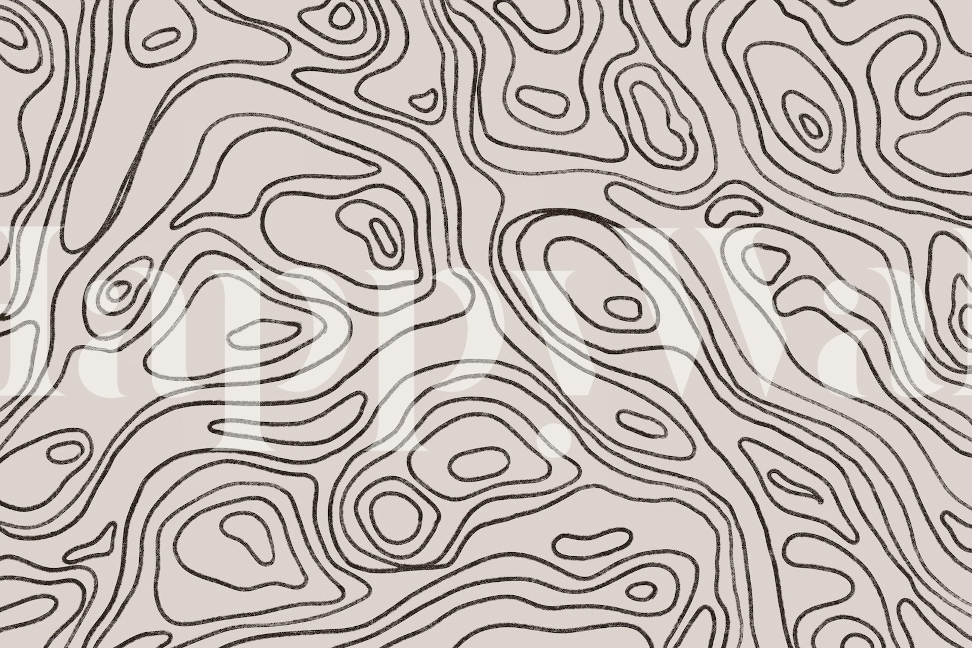 Abstract iso lines square pattern wall mural in neutral tones