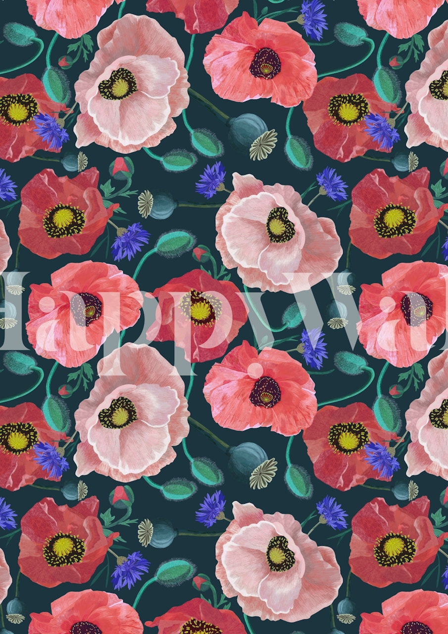 Vibrant red poppies with green leaves on a dark background wall mural