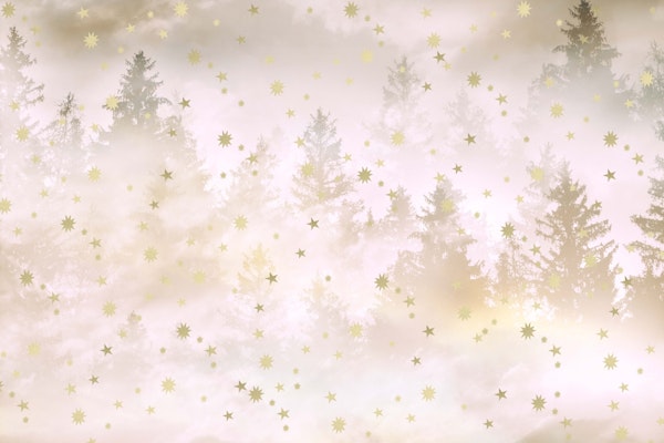Starry Blush White Forest 1