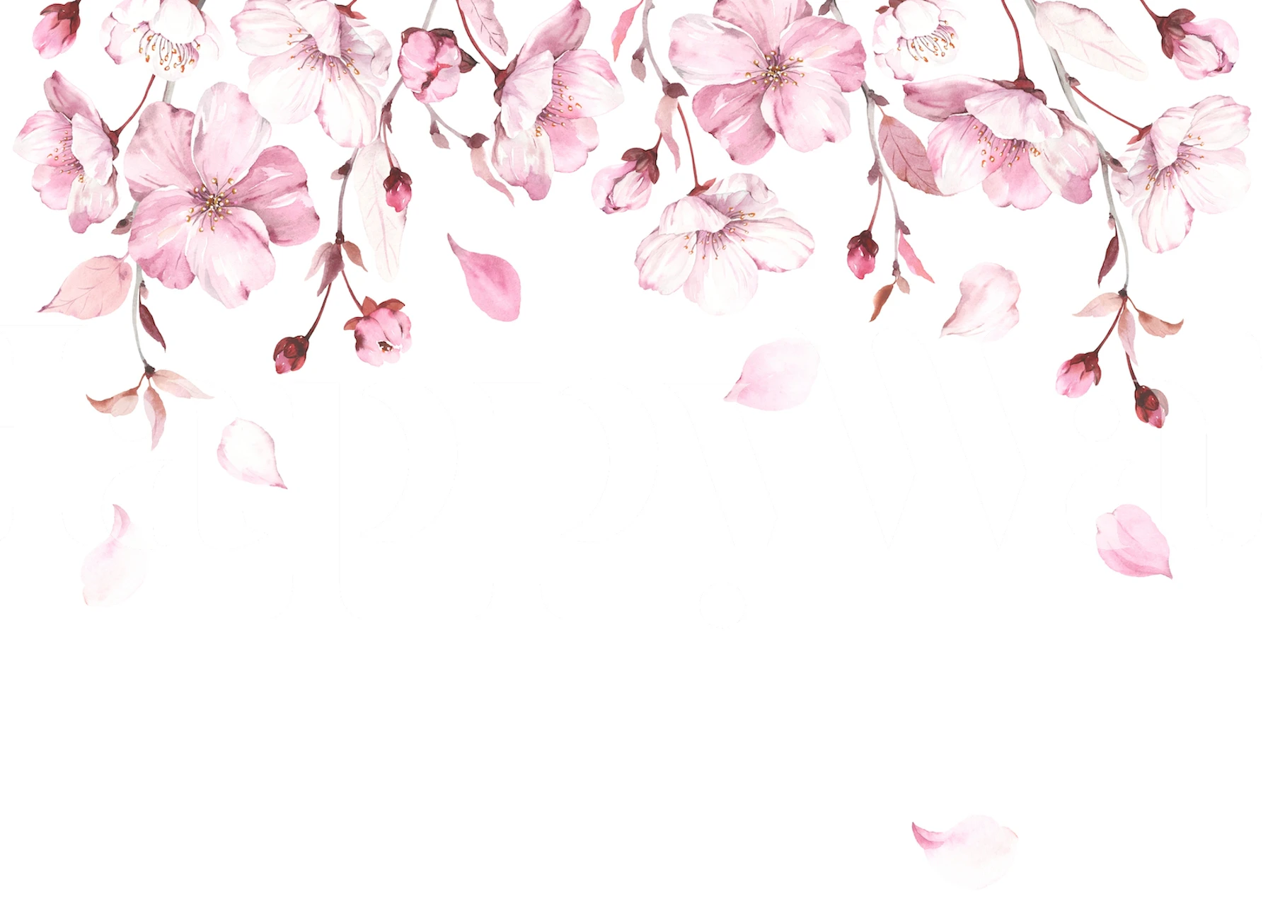 Wall mural featuring a soft cascade of cherry blossoms in bloom, with gentle shades of pink and white