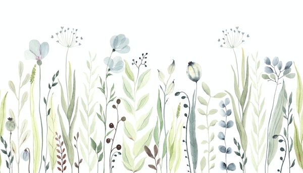 Greenery wildflowers