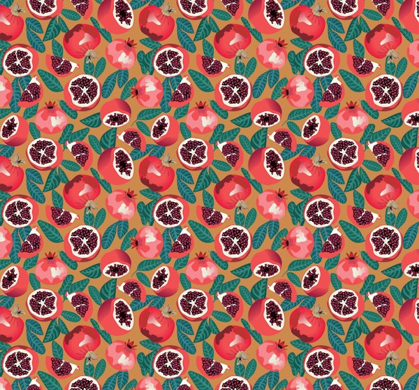 Pomegranate on burnt orange