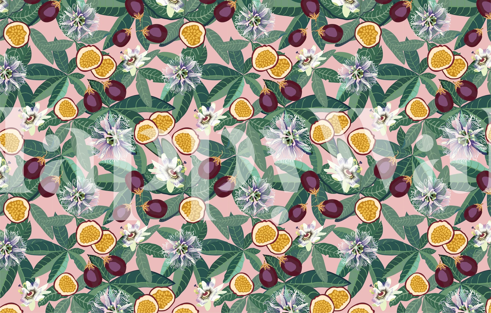 Passion fruit wallpaper displayed in a room