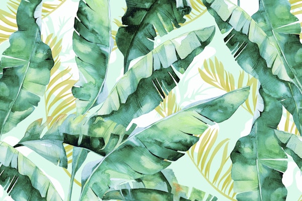Banana leaf watercolor 22