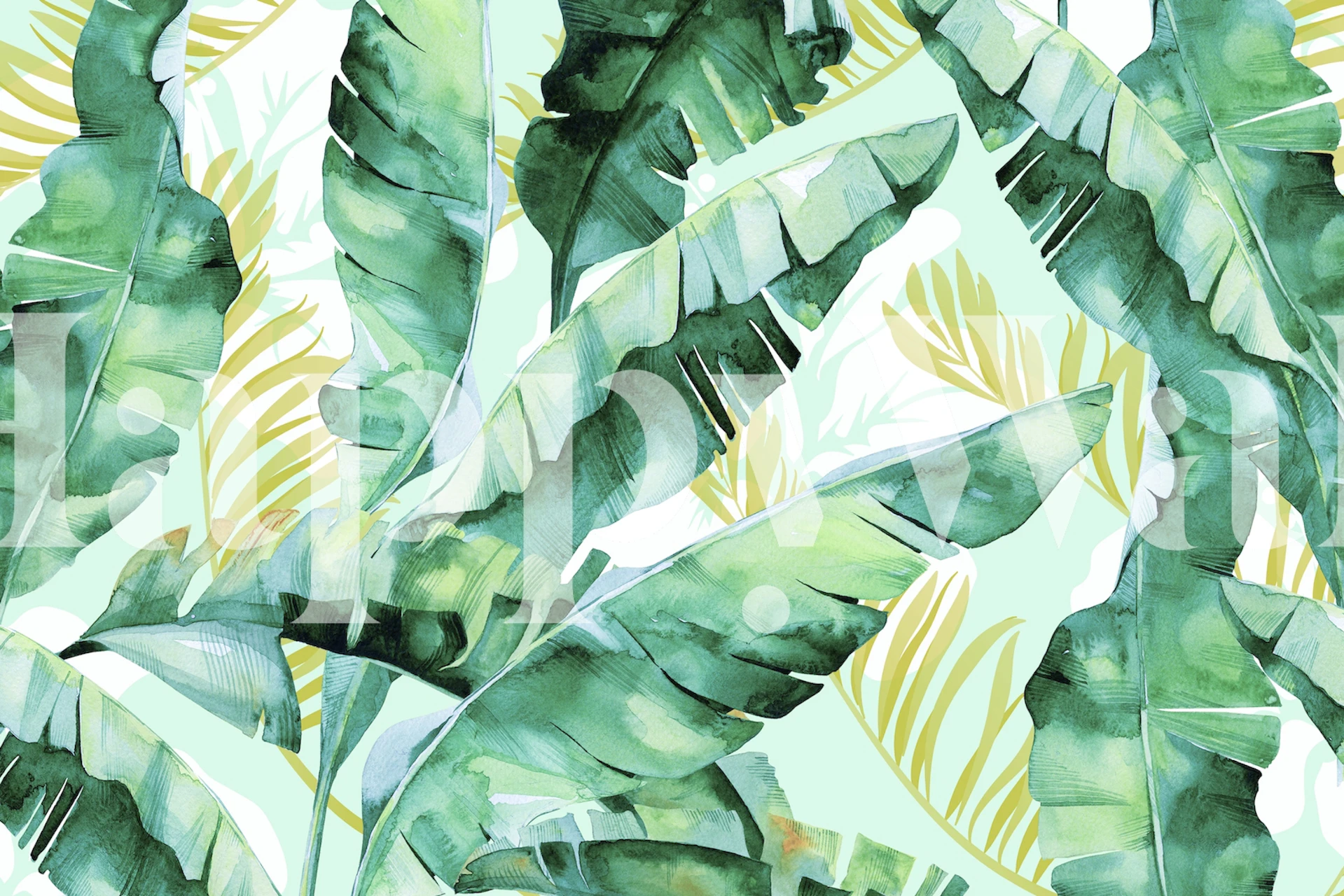 Banana leaves in green tones on a light background wallpaper