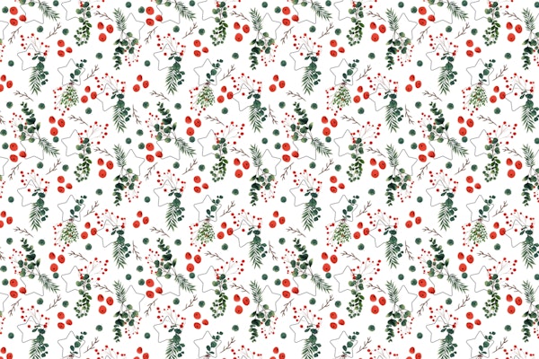 Christmas Botany 003
