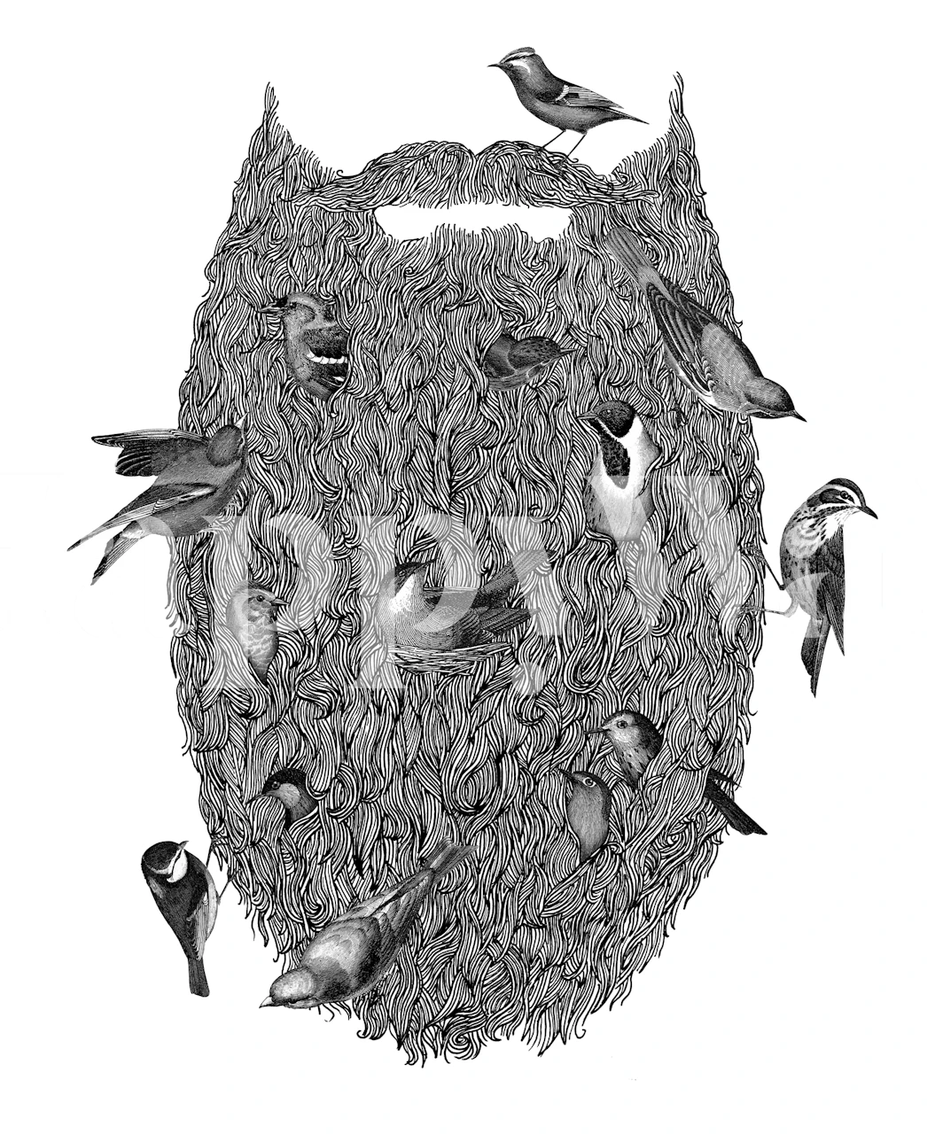 Graphic wall mural depicting birds in a beard-like formation in black and white