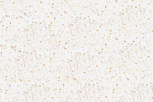 A Million Wildflowers Creme