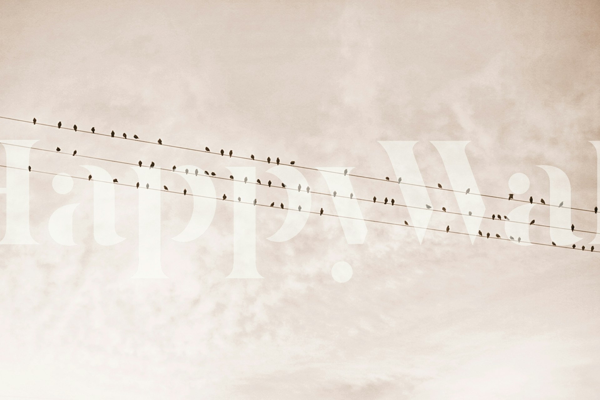 Birds on a wire against a beige background, wallpaper